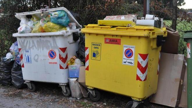 Cassonetti strapieni «Segnalazioni inutili»