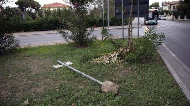 Rotta la targa per Vera Vassalle