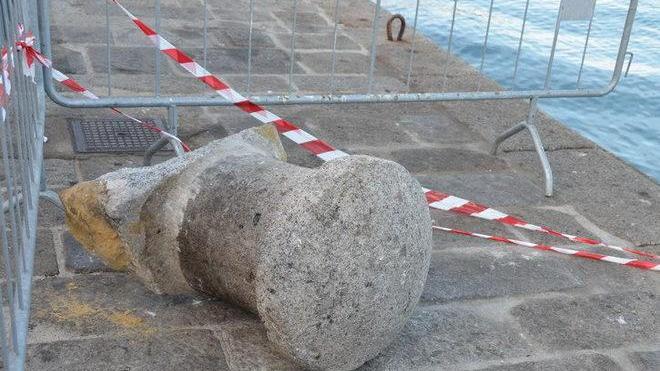 Bitta sradicata e danneggiata L’opposizione interroga Cerulli