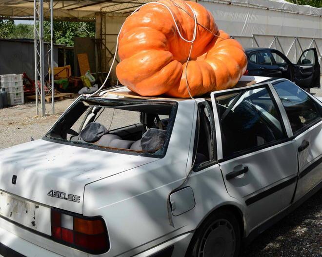 Zucche giganti in arrivo a Pontedera da tutta Italia 