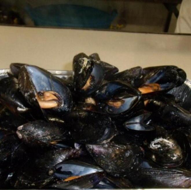 Le cozze al forno sono ormai un classico Uova e parmigiano, ecco il tocco in più 