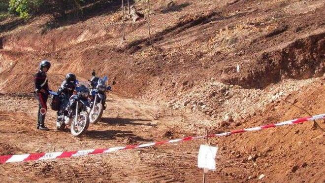 Arrestati ladri di legname avevano rubato 18 quintali
