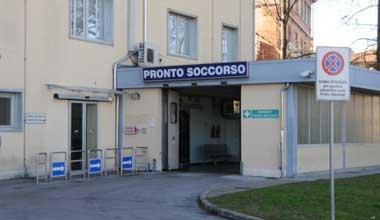 Salvato bambino di 14 mesi morso da una vipera 