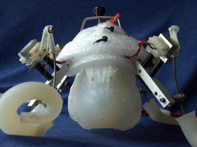 Poseidrone, dal Sant’Anna il robot rivoluzionario 