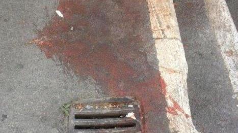 L'ultima follia in città: lanciare i gatti dalle Mura