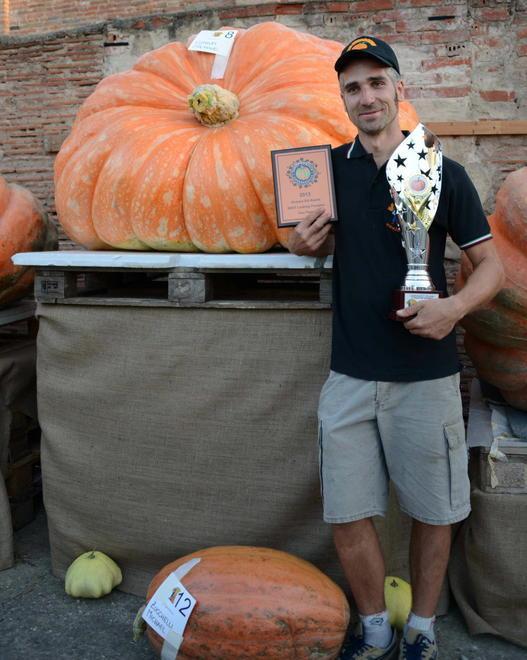 La bilancia fa segnare 627 chili, Cutrupi e la sua zucca fanno il bis 