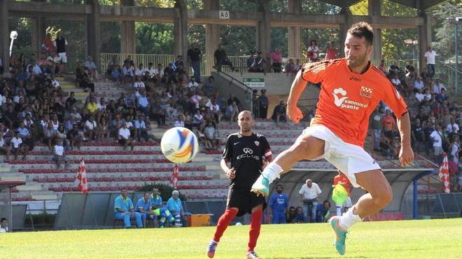 Peluso, il miracolo arancione