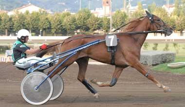 Cade dal sulky, grave allenatore di cavalli 