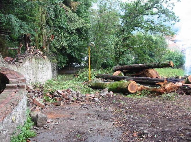 Per salvare l’antica quercia sparirà la strada 