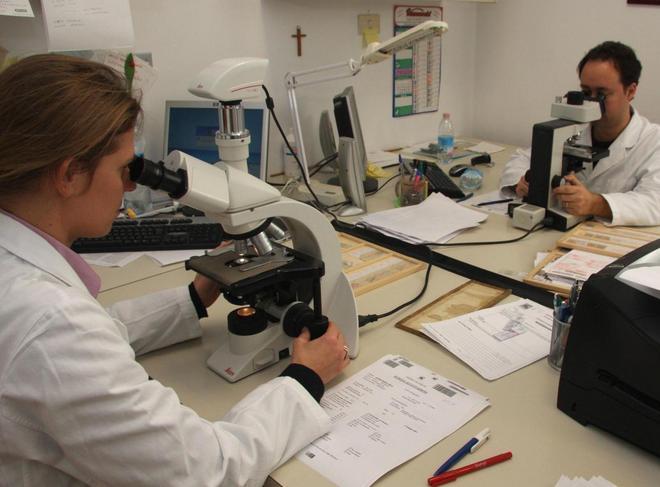 Sistema di telepatologia grazie alla Fondazione 