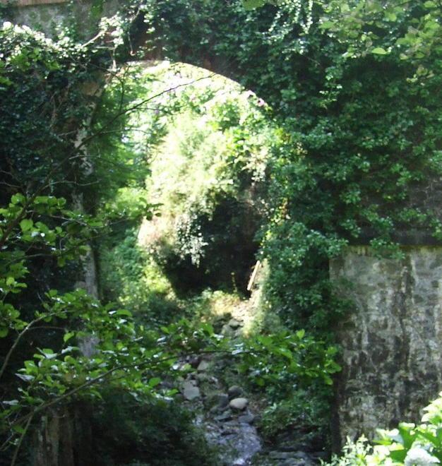 Il Consorzio ripulisce il rio Sana