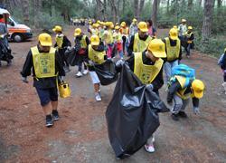 Spazzini alunni venerdì alla pineta del Tombolo 