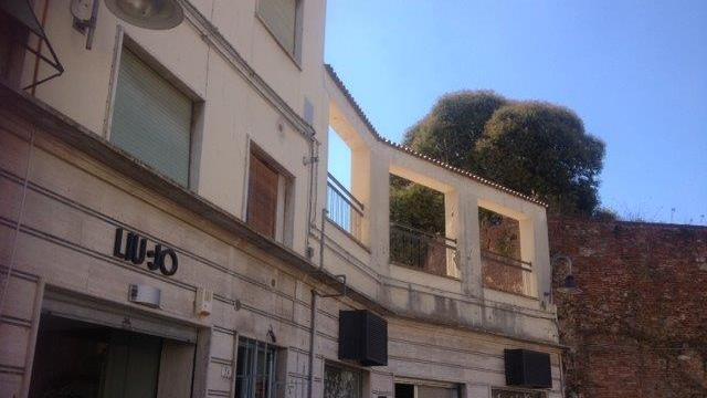 Gatti gettati dalle mura, parte il corteo