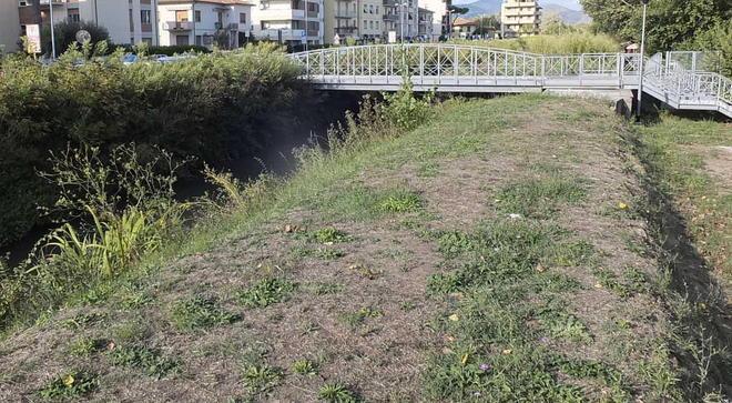 Una sponda è pulita ma il parcheggio è invaso da erbacce