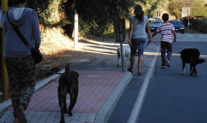 Decine di bambini a portare i cani a spasso