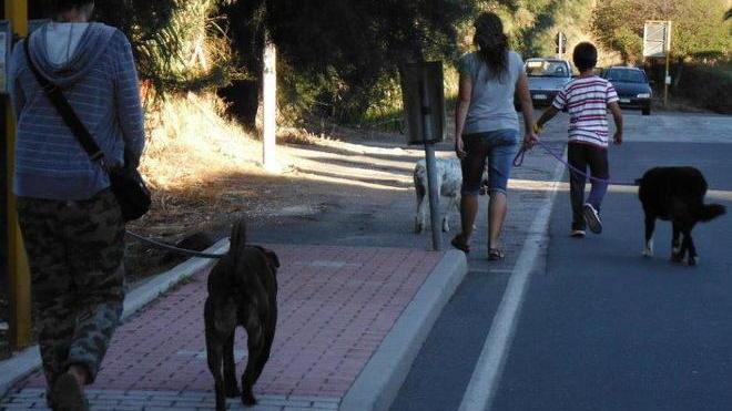Decine di bambini a portare i cani a spasso