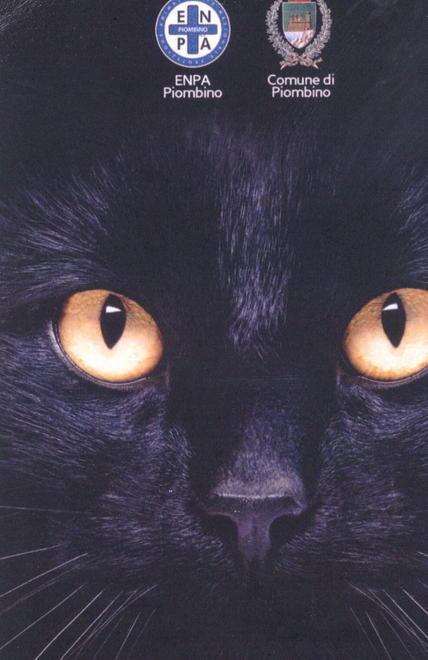 Giornata nazionale animali ed ecco il nuovo calendario