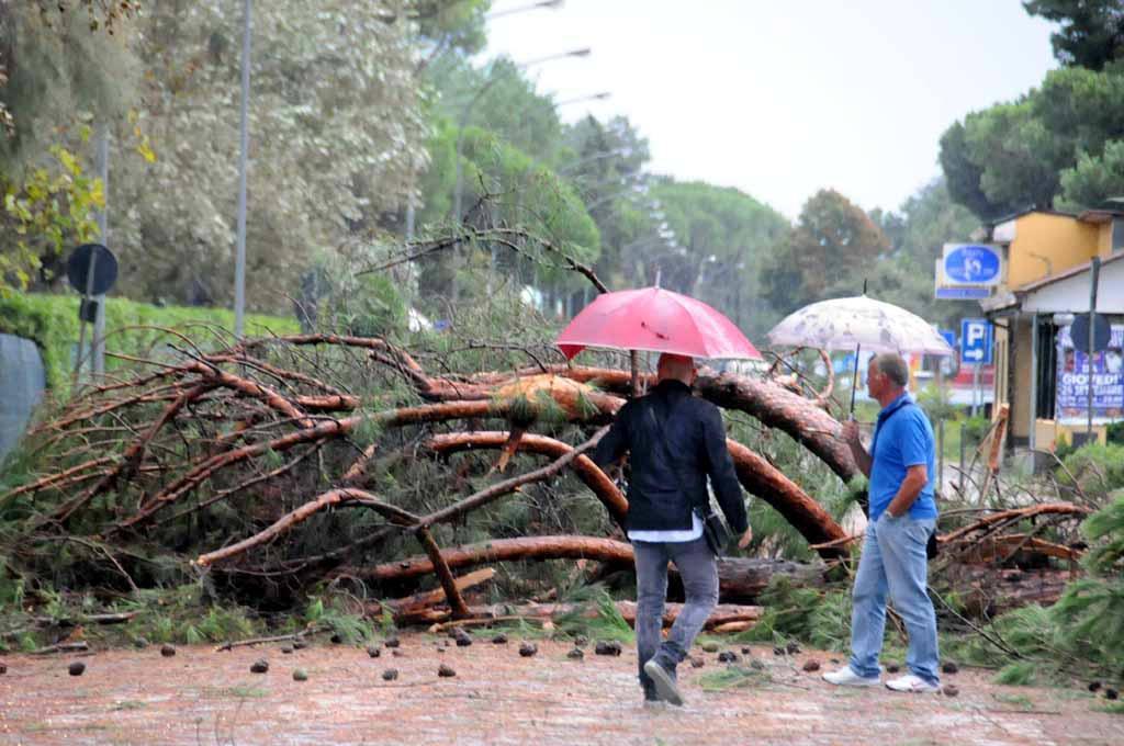 Maltempo, disagi in mezza Toscana 