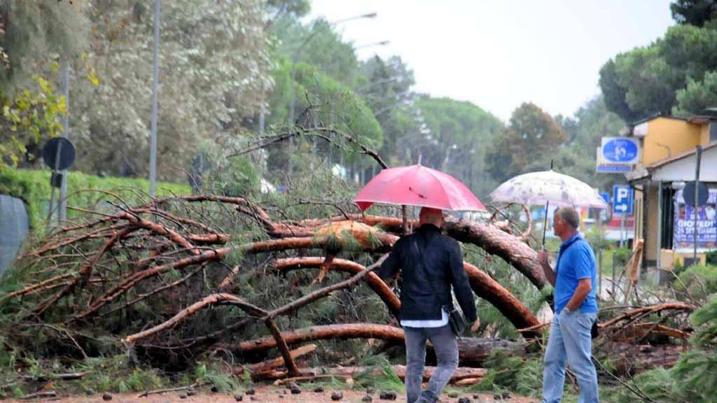 Maltempo, disagi in mezza Toscana