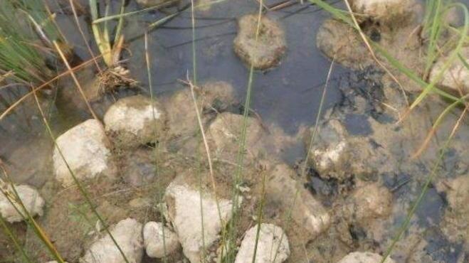 «Falde idriche a rischio per i fanghi»