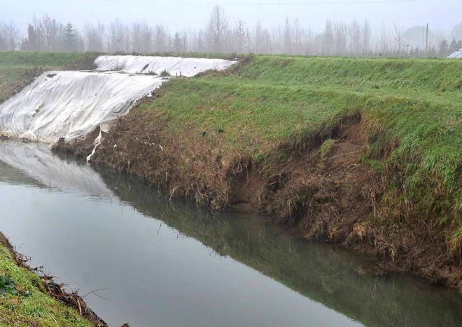 Ombrone, argini rinforzati alla confluenza col Calice