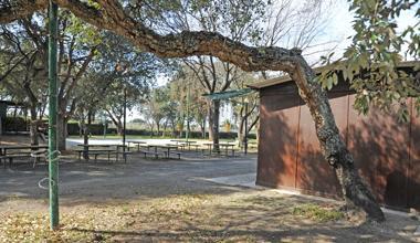 Oggi la festa del pensionato al parco delle Sughere 