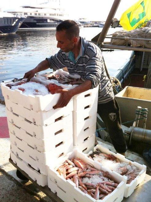 Stop alla pesca per tutto il mese di ottobre 