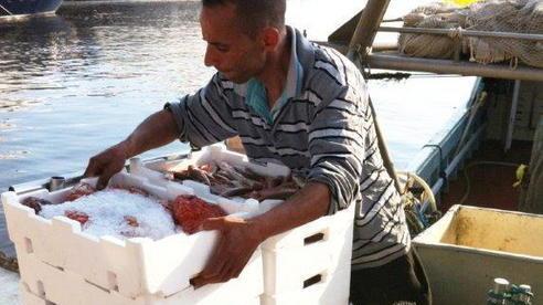 Stop alla pesca per tutto il mese di ottobre
