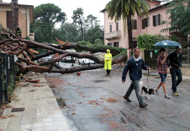 Alberi abbattuti e disagi dopo un’ora di bufera 