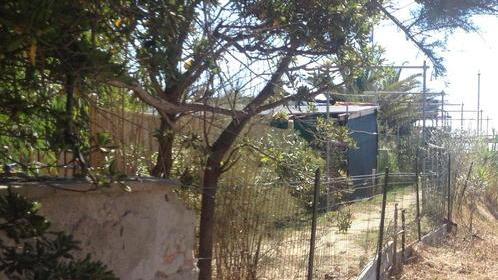 «Fatemi lavorare, il muro lo rialzo da solo»