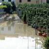 Campi seminati invasi dall’acqua