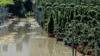 Campi seminati invasi dall’acqua