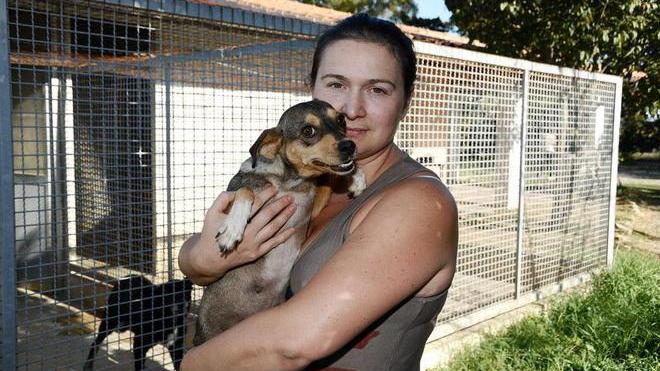 Cani trasferiti a Reggio Emilia È polemica: «Così si vìola la legge»