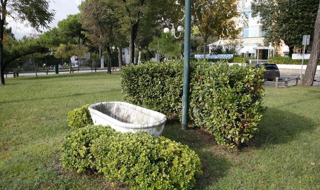Buratti: Sos alla Regione per il parassita dell’alloro
