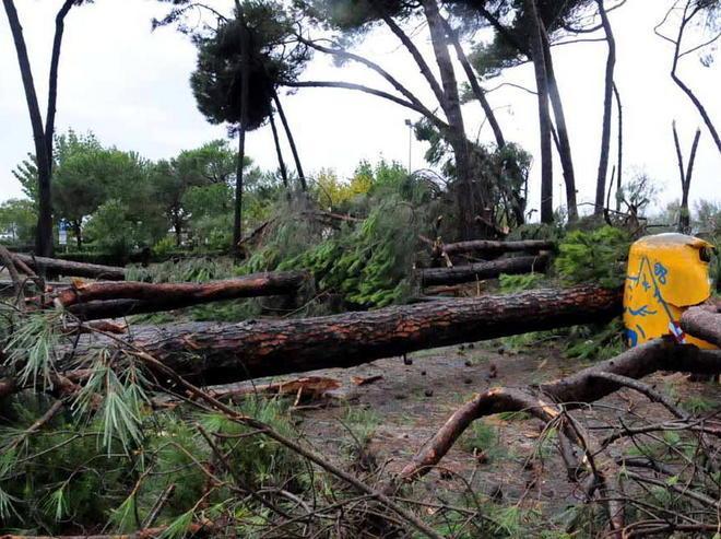 Danni, il conto è di oltre 2 milioni di euro 