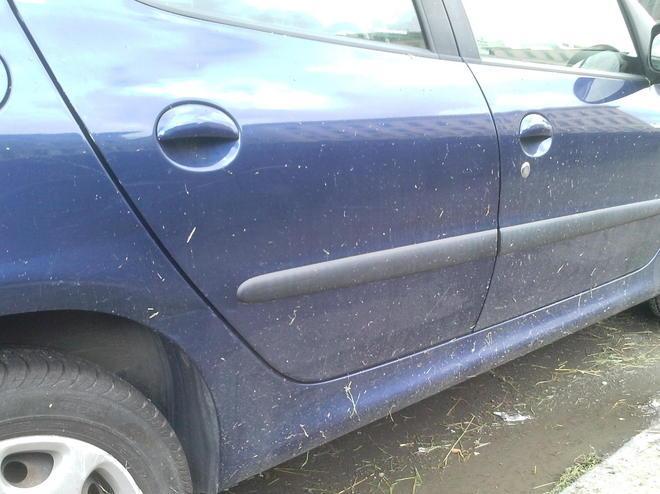 Auto danneggiata dal decespugliatore
