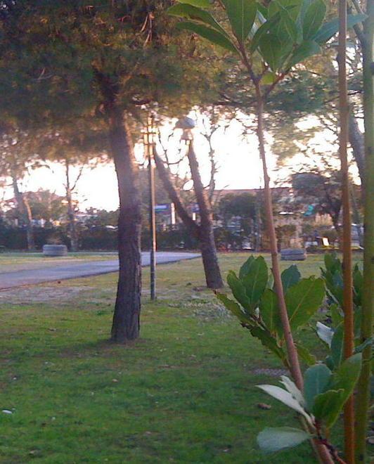 Stop ai progetti per piazza Fleming 