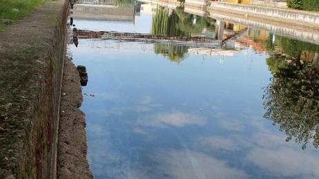 Sversamenti oleosi nel canale Burlamacca