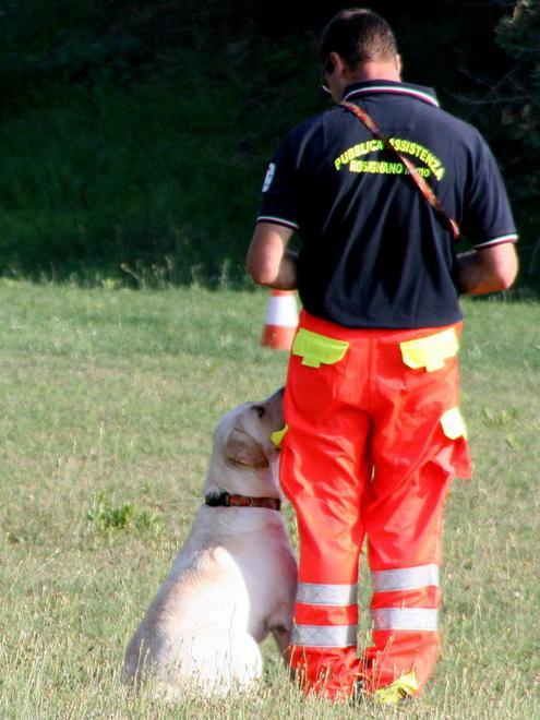 I cani-investigatori di nuovo in tv 
