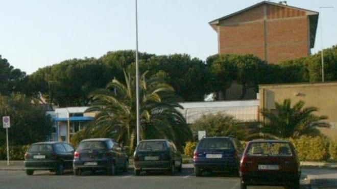 Topi nella Circoscrizione 5, sospesa l’attività