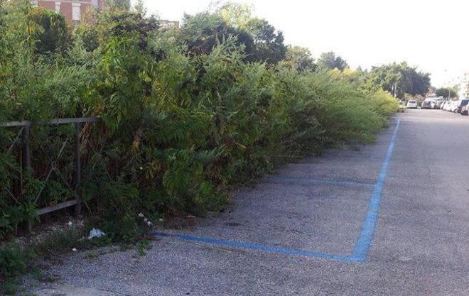 Arrivano i soldi per il fosso del Mulino 