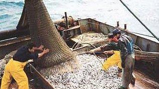 Scatta il fermo biologico, stop alla pesca a strascico