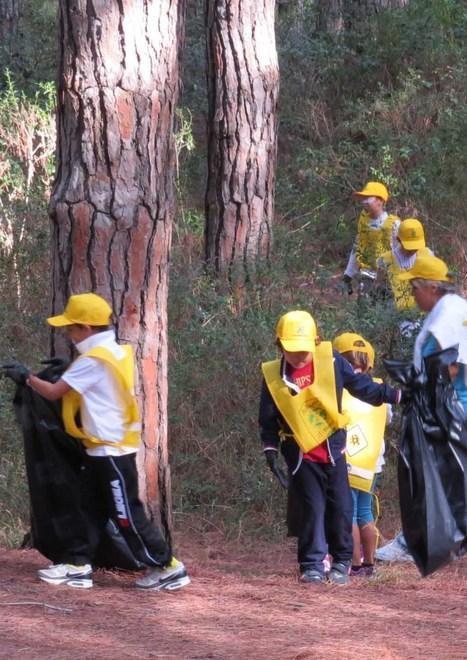La pineta pulita dagli alunni della Collodi
