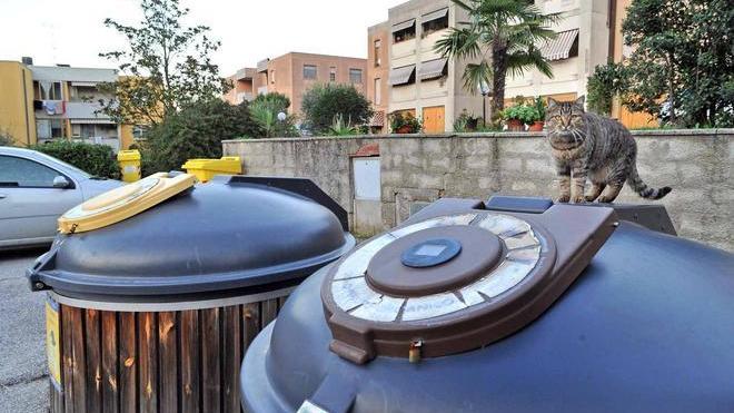 Rimossi i “super cassonetti” interrati