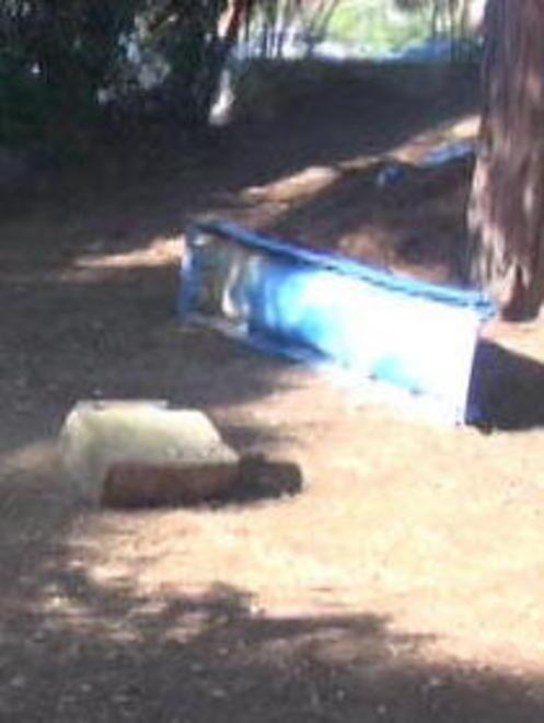 Vandalismi ai giardini di Carpani 