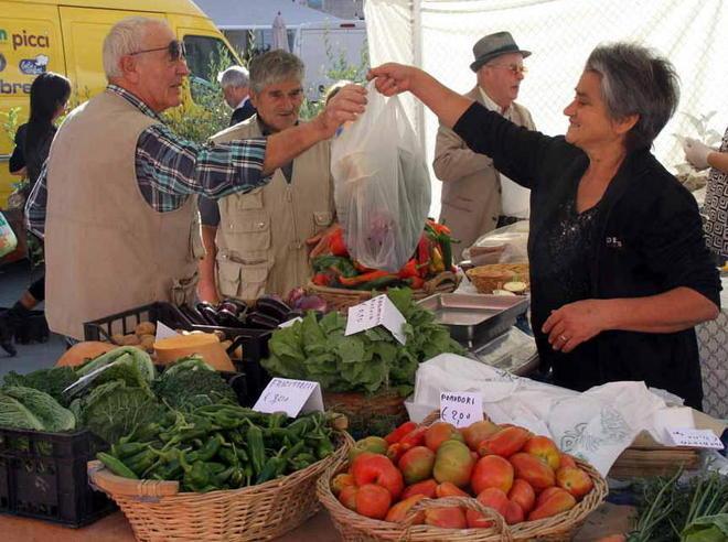 Il mercato eco-sostenibile con le piante del Pacinotti