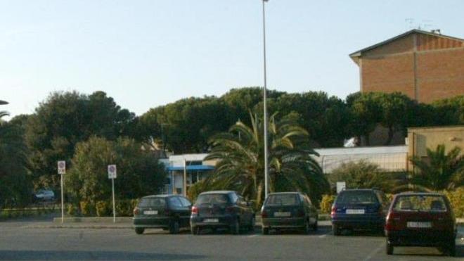 Topi in circoscrizione 5, uffici chiusi