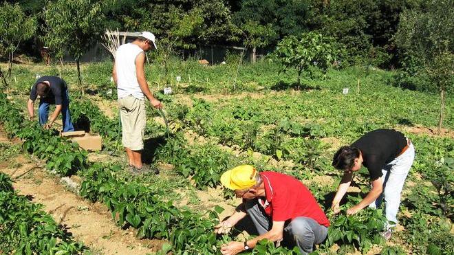 Una lista nera per chi non è agricoltore