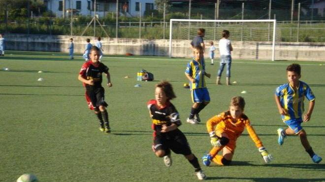 Calcio baby, riprende la «Sarzana Cup»