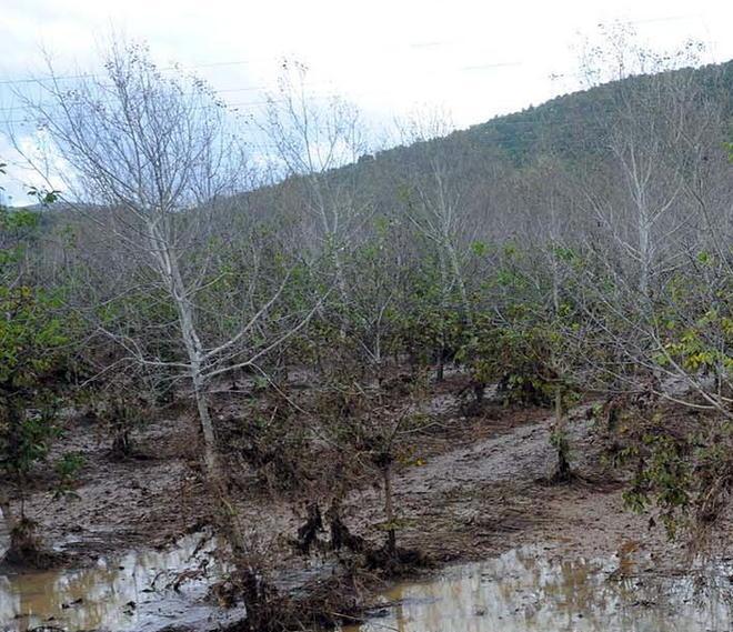 Nubifragio a San Lorenzo, chiusa la Provinciale 22 
